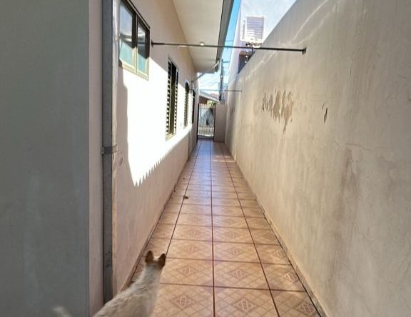 Imagem do WhatsApp de 2025-11-19 à(s) 09.23.11_9ca6f485