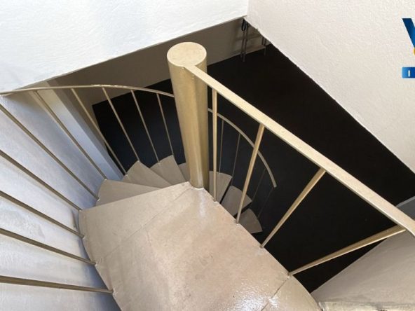 WhatsApp Image 2026-02-09 at 10.42.50