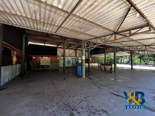 WhatsApp Image 2026-03-04 at 10.54.19