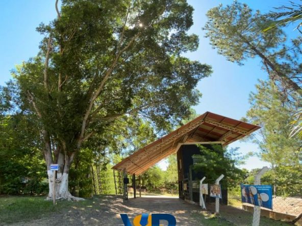 WhatsApp Image 2026-03-04 at 10.54.42